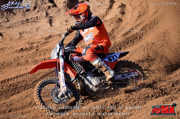 DSC_9996 (Copy).JPG